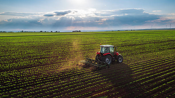 Agriculture in Action: Advancing the Canada-Africa Relationship