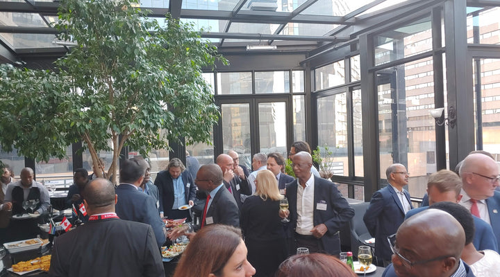 ICT in South Africa: Understanding the Regulatory Environment