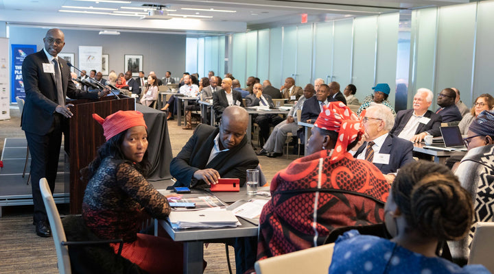 Central Africa Investment Session