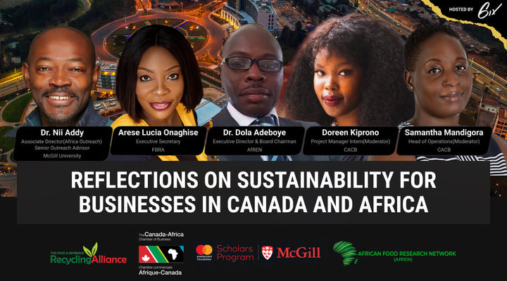 Reflections on Sustainability for Businesses