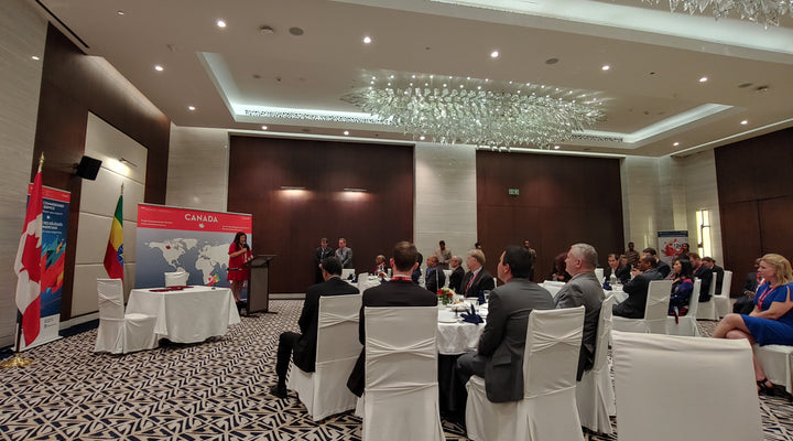 P3 on Ethiopia: Showcasing Public-Private Opportunities for Canada's Private Sector